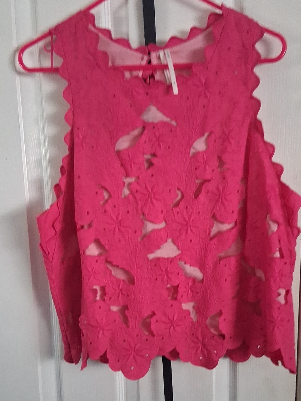 Anthropology pink Embroidered blouse 1X